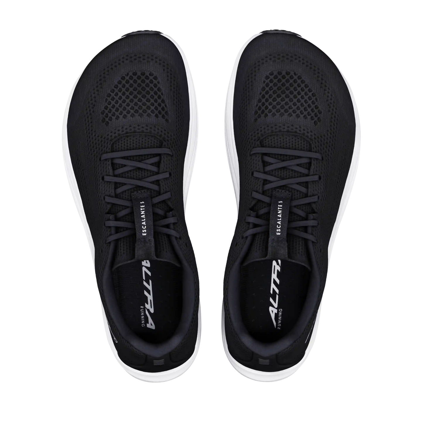 Women's Escalante 5